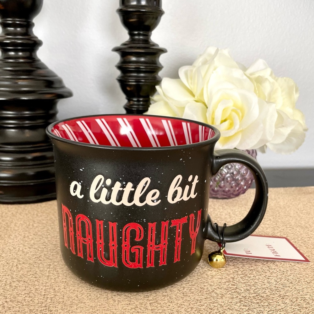 NWT A Little Bit Naughty Ceramic Mug